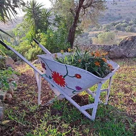 Fragosiko - Rustic Retreat In Kefalonia * ארגוסטולי