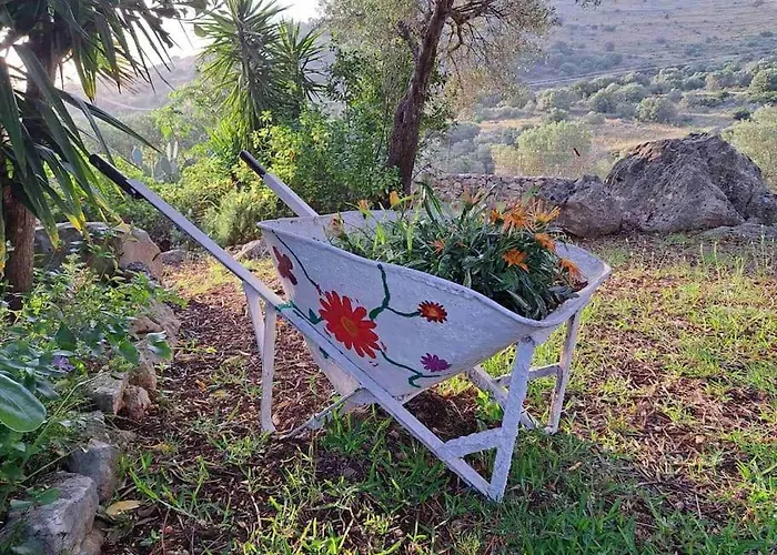 Fragosiko - Rustic Retreat In Kefalonia * Argostoli (Kefalonia)