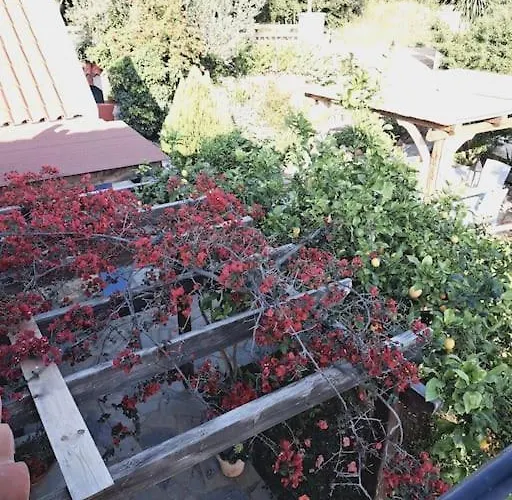Fragosiko - Rustic Retreat In Kefalonia Argostolion
